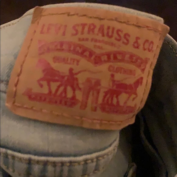 levi - Picture 1 of 2